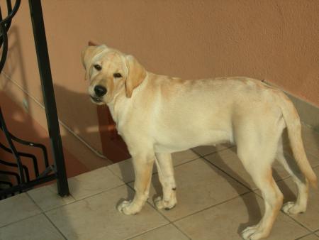 beverly ( et les yeux doux ) lol