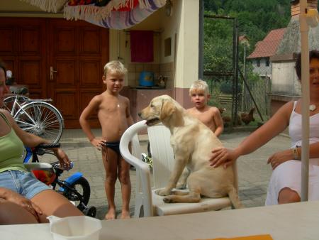 beverly sur la chaise