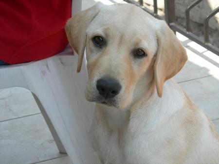 beverly ( la mendiente ) lol !!