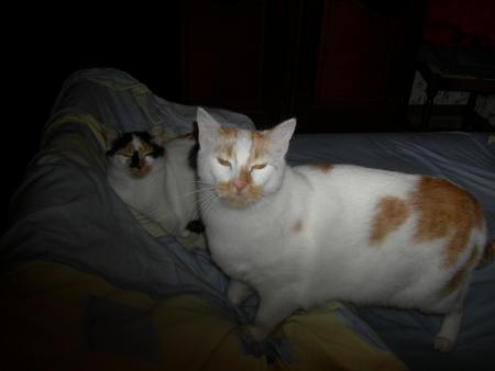 kiara et pouci ( eblouient pas le flach)